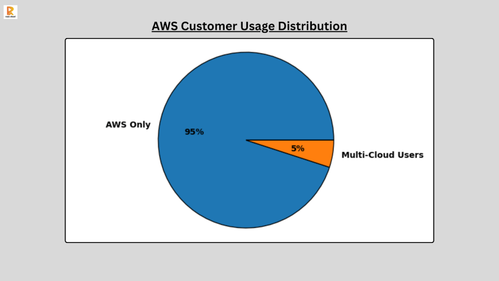 AWS Customer Usage Distribution